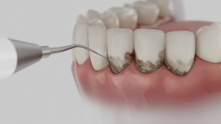 Reliable Dental contractor in Cleary, MS by Dentist Open Now